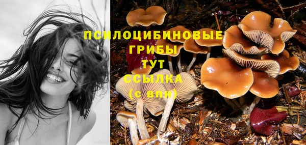 дистиллят марихуана Приозерск