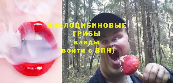 Альфа ПВП Протвино
