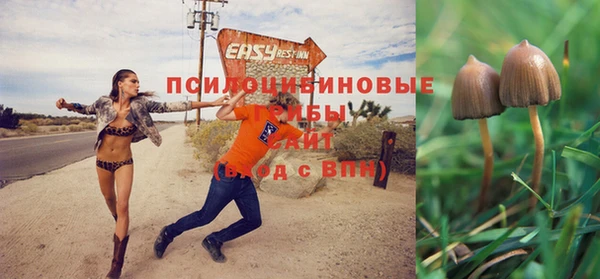 круглые Пролетарск