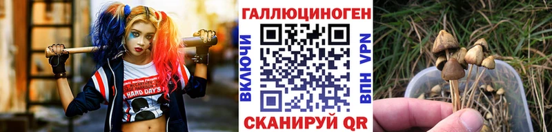 Галлюциногенные грибы GOLDEN TEACHER  Ухта 